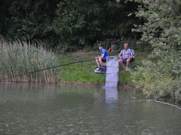 Competities HSV Alfheim